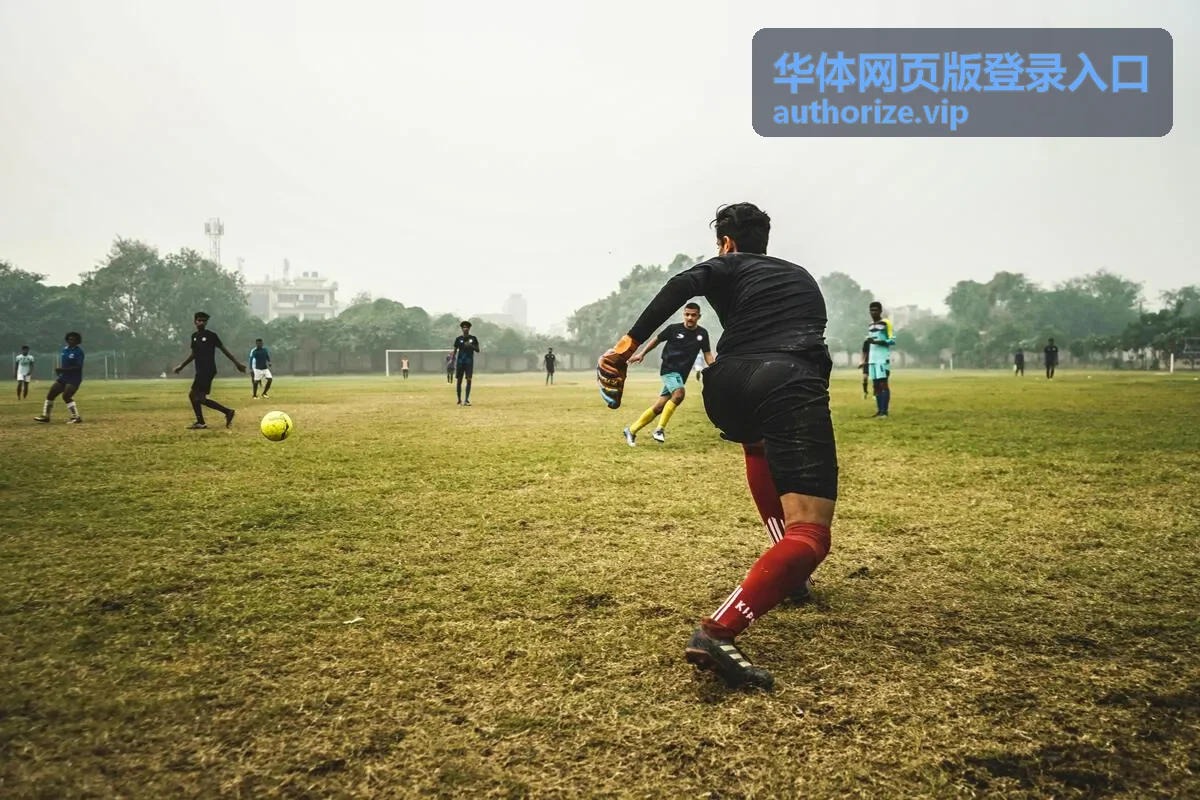 华体网页版登录入口首页入口说明封面