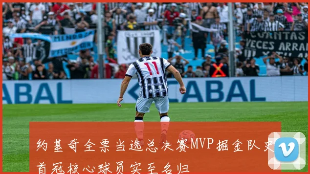 约基奇全票当选总决赛MVP掘金队史首冠核心球员实至名归