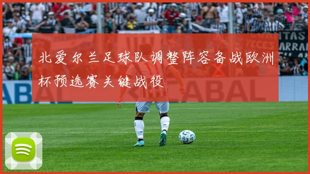 北爱尔兰足球队调整阵容备战欧洲杯预选赛关键战役