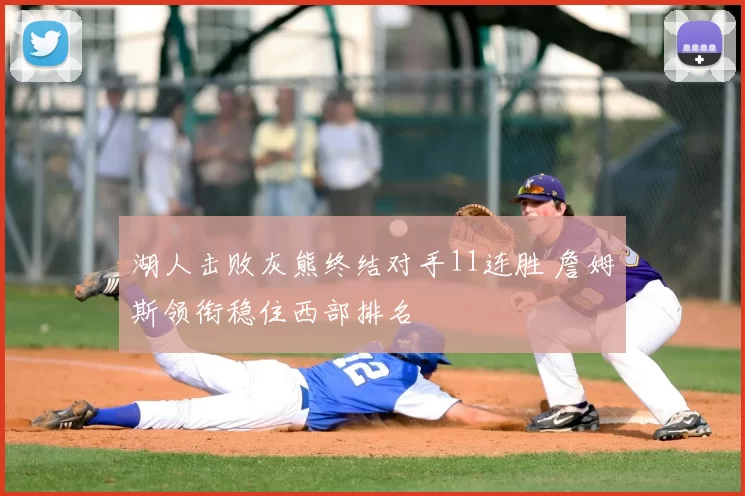 湖人击败灰熊终结对手11连胜 詹姆斯领衔稳住西部排名