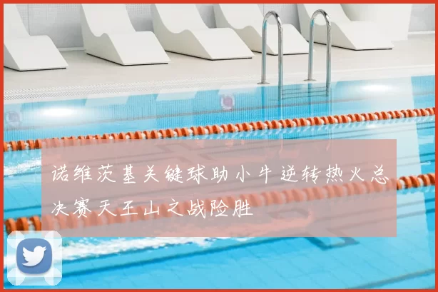 诺维茨基关键球助小牛逆转热火总决赛天王山之战险胜