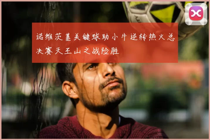 诺维茨基关键球助小牛逆转热火总决赛天王山之战险胜
